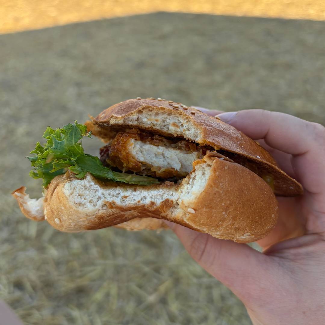 Burgertour_Beitraege_Rosas-Burgerbox-2